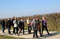 Winterwandeling 13-3-2016 org. M & J Menten (4)